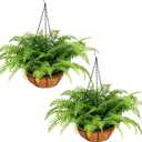 2 Set Fake Ferns with Hanging Baskets, UV Resistant Fake Hanging Ferns Plants, Outdoor Artificial Hanging Plants for Front Porch Garden Balcony Patio Home Decor, No Assembly