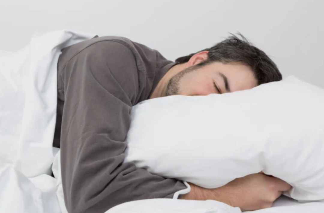 Carpenter White Pillows Mictofiber Twin Pack of 2