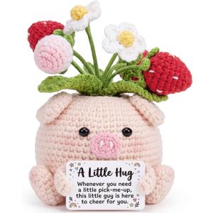 Haraketlt Strawberry Crochet Pig Gift - Cute for Mom, Thank You Teacher Appreciation Present, Best Friend Female Birthday Ideas, Sweet Cheer Up Keepsake for Sister Coworker (Pig Strawberry)