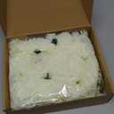 50 Pack Artificial Silk Carnation Picks Artificial Flowers Carnation Heads with Stems for DIY Flower Wall Wedding Bouquets Centerpieces Arrangements Decorations (Ivory White)