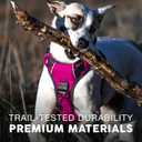 Embark Adventure Dog Harness, Reflective Trim No Pull Dog Harness Medium Sized Dogs - Military Grade Nylon, Front Clip with Gel Lined Handle.
