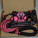 PoyPet Dog Harness and Leash Combo, Escape Proof No Pull Vest Harness, with 5 Feet Leash, Reflective Adjustable Soft Padded Pet Harness with Handle for Small to Large Dogs(Pink,M)