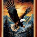 DMCVIVR Stamped Cross Stitch Kits for Adults Beginners Embroidery Kits 11CT Needlepoint Kits Cross Stitch Patterns Embroidery Patterns-Eagle Sunrise 16x20 inch (Handicrafts14)