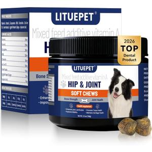Hip & Joint Supplement for Dogs - Advanced Glucosamine MSM Chondroitin with Turmeric - 10-in-1 Veterinarian Formulated Joint Pain Relief for Large Breed Senior Dogs - 60 Tablets
