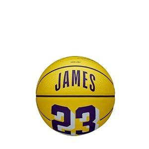 WILSON NBA Player Icon Mini Basketball - Lebron James, Mini Size