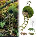 Moss Cave Hideout with Hanging Rope & Hemp Climbing Ladder Natural Reptile Tank Decor Accessories for Crested Geckos, Chameleons, Tree Frogs, Leopard Geckos & Snakes. Terrarium & Vivarium Decor (6")