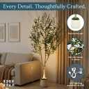6ft Lifelike Artificial Olive Tree with Light, White Pot, Moss & LED