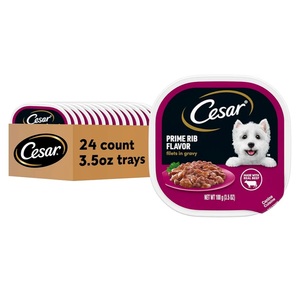 Cesar Filets in Gravy, Adult Wet Dog Food, Prime Rib Flavor, Wet Food for Dogs, 3.5 oz Trays, 24 Count, BBD 12/29/2027