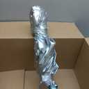 Silver Umbrella