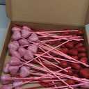 Crowye 60 Pcs Valentine Glittered Puffy Heart Picks Foam Heart Picks Glitter Sticks for Flower Arrangements Floral Bouquet Crafts Decorations, Red and Pink