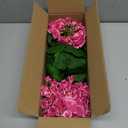 FOREST PRINCE 2 Pack 18" Artificial Geraniums for Outdoors, Red Geraniums Artificial Flowers Realistic Silk Flower for Home Garden Patio Wedding Table Centerpieces Indoor Decor, VioletRed