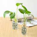 Pulovin 5LB Succulent and Cactus Pebbles, 1/5 Inch Jade Pebbles for Indoor Plants, Decorative Gravel for Vases, Bamboo, Succulent, Terrarium, Crafts, Cactus