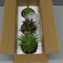 MyGift Succulents Plants Artificial, Fake Faux Indoor House Plants in Round Brown Ceramic Pots, Set of 3