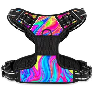 Rnivvi No Pull Dog Harness, Cute Reflective Medium Sized Puppy Kitten Harness, Adjustable Soft Padded Vest for Medium Dogs, Heavy Duty Pet Vest with Easy Control Handle for Walking, Rainbow Art, Medium