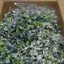 Serwalin 100pcs Artificial Mixed Eucalyptus Stems Leaveas Bulk, 4Kinds Fake Grennery Silver Dollar Eucalyptus Leaves Picks,Faux Greenry Stems Sprays for DIY Bouquets Floral Arrangement Home Decor