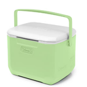 Chiller™ 16-Quart Portable Cooler, Green