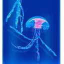 Jellyfish Lamp, 7 Color Changing LED Lights, USB/Battery Bubble Jellyfish Night Light, Gift for Kids, Men, Women, Decor for Home Office Table Room (Blue_10.04Inch)