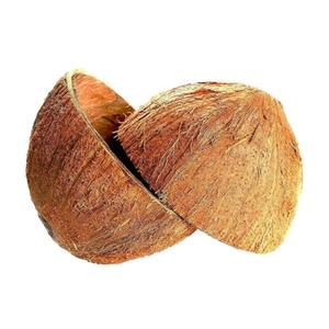 Sri Care® Natural Coconut Bowl Halves Coconut Shell For Handicraft Or Pet Feeder And Candle Maker And Christmas And Halloween Decorations