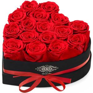 Roses Gifts for Her,Forever Preserved Flowers Roses In a Heart Shape Box,Anniversary Birthday Gifts for Wife Women Mom Best Friend Girlfriend/16Pcs Red