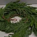 9 FT Real Touch Norfolk Pine Garland Green Artificial Christmas Garland Faux Greenery Garland for Holiday Fireplace Mantle Window Indoor Outdoor Decor, 1 Pcs