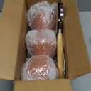 Stoneware Ramekins with Lids Set of 3 & 1 Oven Fork  16.9 fl oz (500 ml)  Clay Pots for Cooking