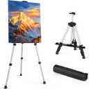 Art Painting Display Easel Stand - Portable Adjustable Aluminum Metal Tripod Artist Easel with Bag, Height from 17" to 66", Extra Sturdy for Table-Top/Floor Painting, Drawing, and Displaying, Silver