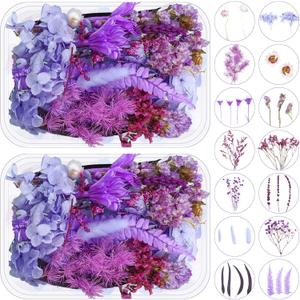 2 Boxes Dried Purple Flowers Dried Flowers for Resin Crafts Real Natural Leaves Petals Pressed Flowers 13 Types Dried Flowers for DIY Candle Nails Making Jewelry Scrapbooking Soap Wedding Home Decor