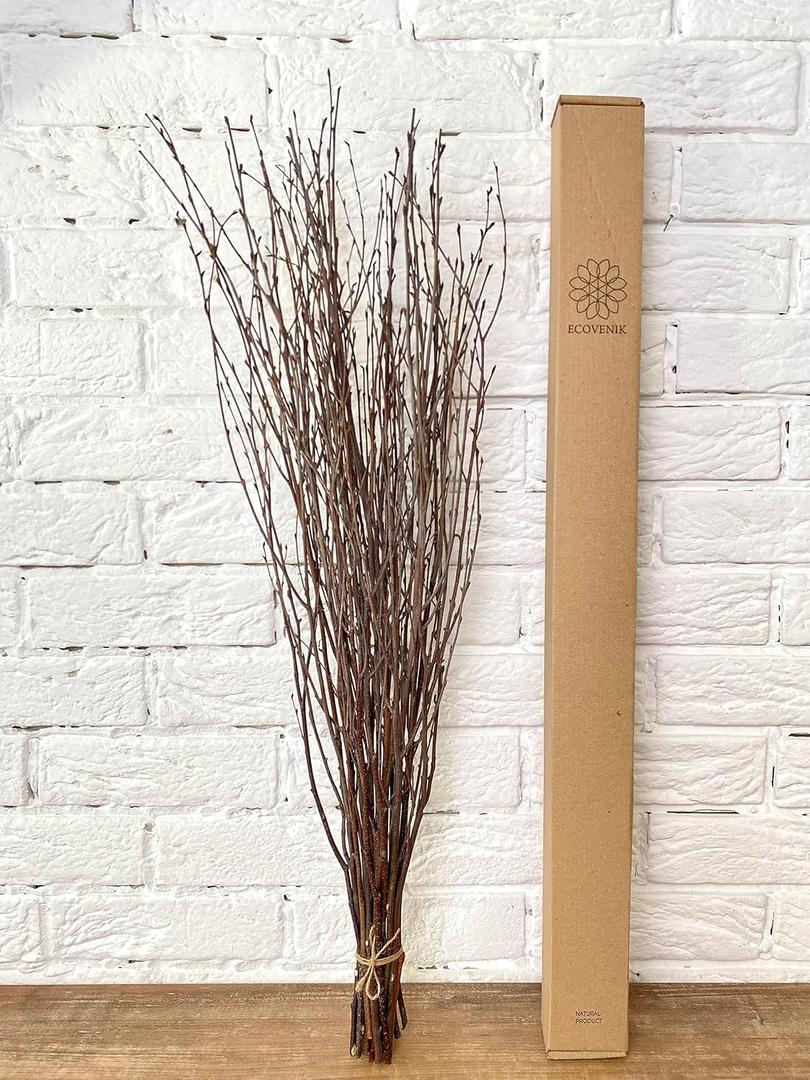 ECOVENIK 25 psc - Branches - 73 cm, Natural Birch Twigs, Pack of 20-25 Stems, Long for Floor vases, (Natural-Brown Color )