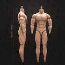 1:6 Scale Male Action Figure 12 Inch Flexible Muscle Male Figure Body Doll Miniature Figure Without Head Sculpt