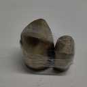 Handcrafted Brass Owl Showpiece – Vastu & Feng Shui Decorative Figurine for Home, Office & Gift 4" And 6" Height