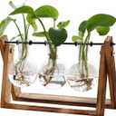 XXXFLOWER Plant Terrarium with Wooden Stand, Air Planter Bulb Glass Vase Metal Swivel Holder Retro Tabletop for Hydroponics Home Garden Office Decoration - 3 Bulb Vase