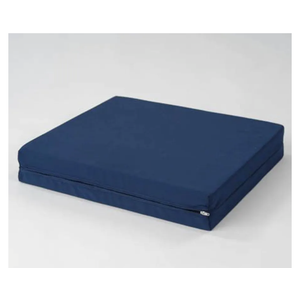 HealthSmart Cushion