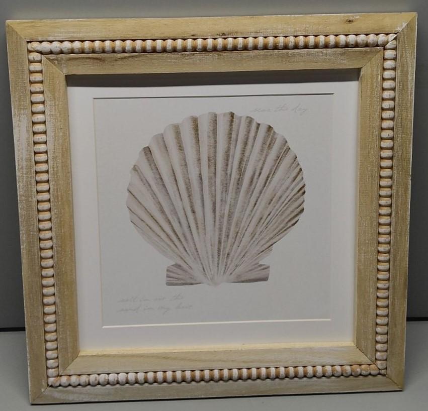 Art Framed Canvas Wall Art 22x22 Oceanum Shells