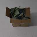 Ouddy Decor 2 Pack Eucalyptus Garland Total 13.1 Ft Lush Silver Dollar Leaves Boxwood Artificial Faux Greenery Vines for Baby Shower Wedding Party Table Runner Room Home Mantle Decor (2 Pack, Green)