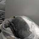 Bedsure Orthopedic Dog Bed Medium Size Dogs - Washable Small Medium Dog Cat Bed Waterproof, Comfort Cats Couch Sofa with Washable Removable Cover, Pets Bed with Nonskid Bottom, Grey, 28"