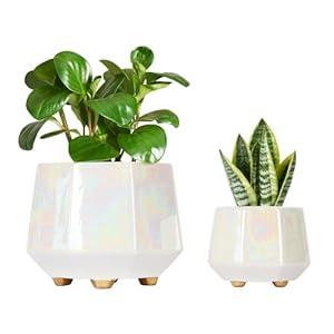YQSLYSF 6 Inch + 4 Inch Ceramic Planter for Indoor Plants - Plant Pots with Drainage Hole - Modern Minimalist Flower Pot for Succulents and Herbs