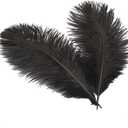 Sowder 14-16inch(35-40cm) Ostrich Feathers Plume for Wedding Centerpieces Home Decoration Pack of 10pcs(Black)