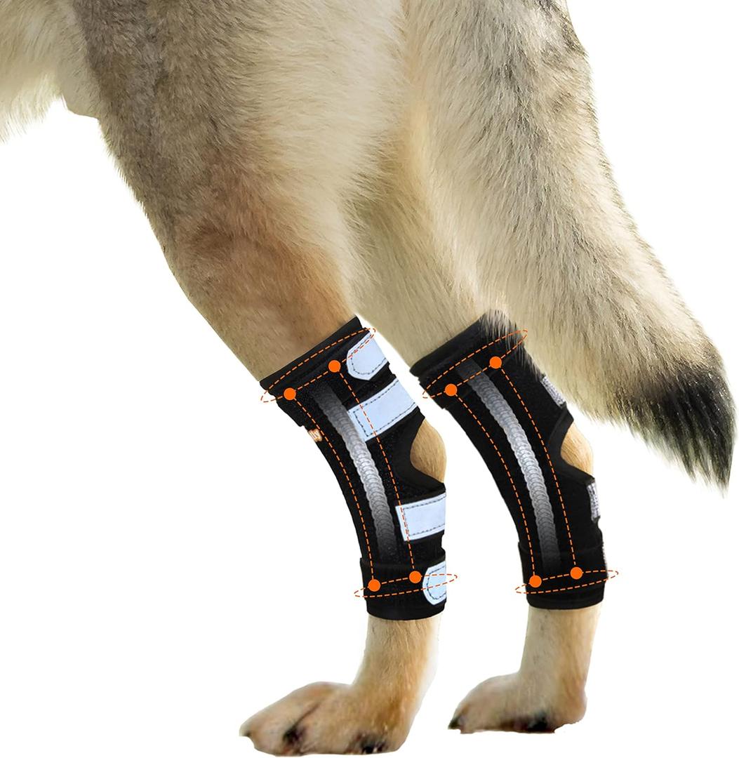 NeoAlly - Rear Leg Hock Brace with Metal Spring Strips, Dog Leg Brace for Rear Leg, Hock & Ankle Support, Rear Dog Leg Brace for Large Dogs, Long. (Both Legs, Medium)
