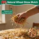 PJT Organic Garden Straw,Biodegradable Straw Mulch for Vegetable Garden,Hay for Grass Seed Covering,Mulch for Landscaping Seed Covering,Thoroughly Cleaned and Weed Seed Free(1 cu ft,8 lbs)