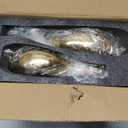 Glossy Gold Ceramic Vase Set 2, Modern Hollow Circle with Hole Flower Vase for Home Decor, for Table Centerpieces, Farmhouse, Fire Place, Living Room, Bedroom, Office, Bookshelf, Rustic Decor