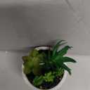 Northlight 9" Artificial Succulent Arrangement in White Ceramic Pot