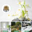 M METERXITY 12-Pack Flower Frog 0.9" Round Brass Flower Pins Flower Frog Holder Flower Arranger Fixed Tools Floral Frog for Arrangements Vase/Plant Decoration/Home Decor [1.1cm Pins]