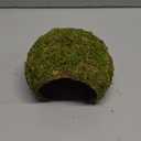 Hamster Hideout - Large, Natural Moss, Handcrafted for Syrian Hamsters, Rats & Guinea Pigs, Safe & Eco-Friendly