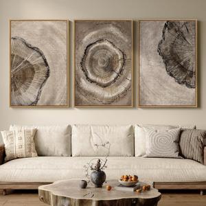 Large Framed Neutral Vintage Wall Art for Living Room, 3 Piece Retro Rustic Tree Ring Prints Canvas Artwork for Walls, Nature Paintings Pictures for Bedroom Hallway Home Office Wall Decor, 24x36 Inch