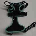 rabbitgoo Dog Harness No Pull with 2 Leash Clips, Adjustable Soft Padded, Reflective Oxford No Choke Pet Vest with Easy Control Handle for Medium Sized Dogs, Black & Turquoise, M