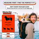 Maxine One Dog Backpack Carrier for Medium Dogs by Little Chonk | Adjustable & Ergonomic Front Facing Dog Carrier Backpack | Built to be Safer | Pet Backpack Carrier Featured in Wired Magazine - Black