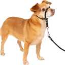 PetSafe Gentle Leader No-Pull Dog Headcollar - The Ultimate Solution to Pulling - Redirects Your Dog's Pulling for Easier Walks - Helps You Regain Control - Petite, Black (1 Count (Pack of 1))