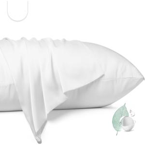 100% Mulberry Silk Pillowcase 2 Pack,Queen Size Silk Pillow Cases for Hair and Skin,Silky Smooth Bed Pillow Cover with Hidden Zipper,Natural Silk Pillow Case Set of 2 (White, Queen 20X30)