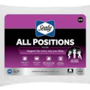 Queen Size Pillow 20x28