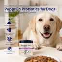 Turkey Tail Mushroom Probiotics for Dogs Immune & Digestive Support Soft Chews, Grain-Free, Natural Antioxidants, 100g